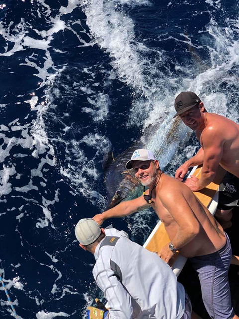 ANGLER: Tim Mazaraki SPECIES: Blue Marlin WEIGHT: Est. 180kg LURE: 12.5" JB Chook.